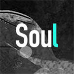 soul最新版本下载安装