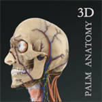 掌上3D解剖app最新版