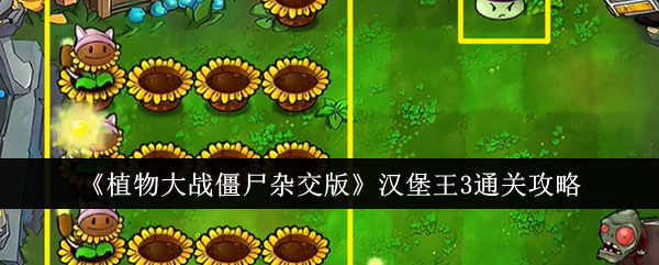 《植物大战僵尸杂交版》汉堡王3通关攻略