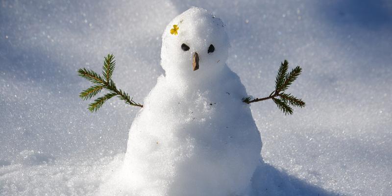 《天天风之旅》中的最多雪人之地（探寻游戏世界中的白雪覆盖之地）